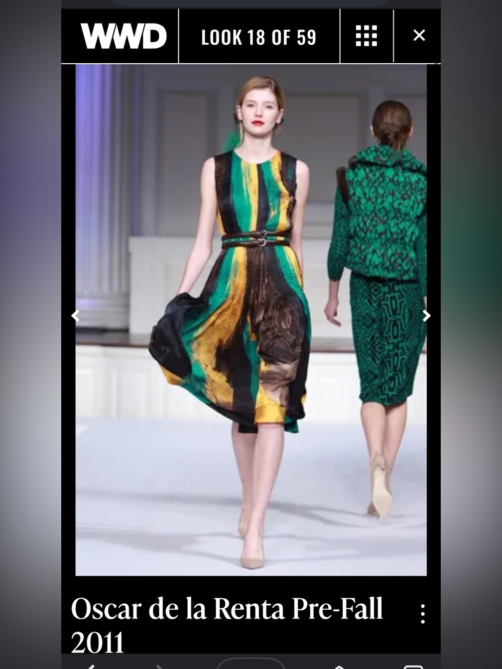 Cashmere Modal Scarf | Oscar de la Renta Brushstroke Print Pre-Fall 2011 - Picture 4 of 4